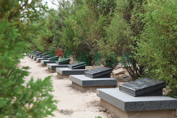 BC贷·(中国游)官方网站