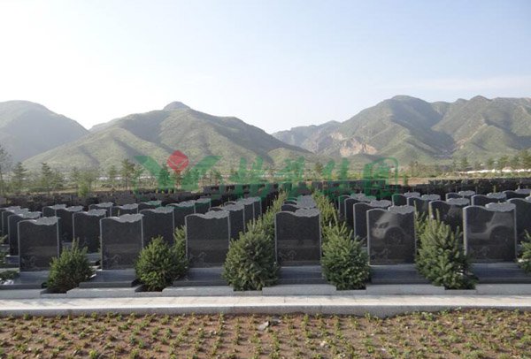 BC贷·(中国游)官方网站