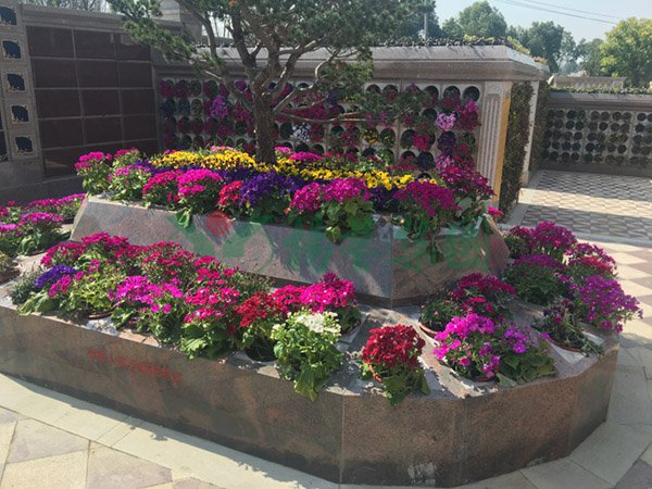 BC贷·(中国游)官方网站