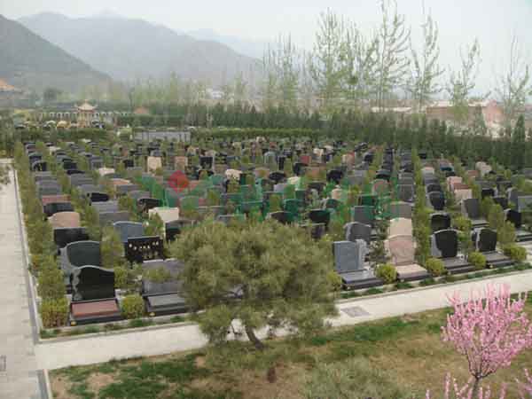 BC贷·(中国游)官方网站