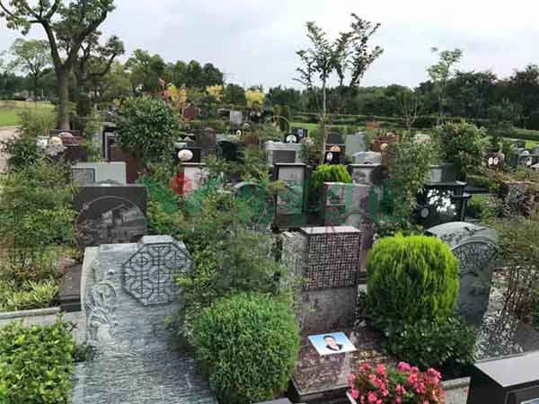 BC贷·(中国游)官方网站