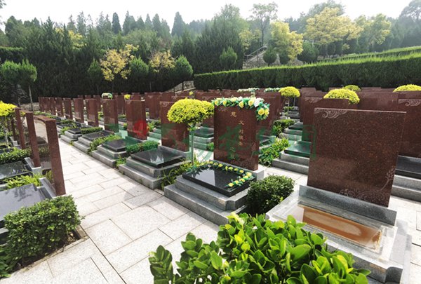 BC贷·(中国游)官方网站