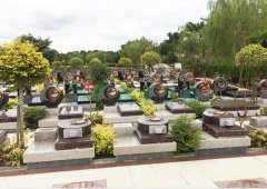 上海；；懔靶腔鹎