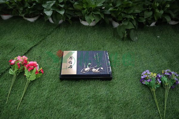 BC贷·(中国游)官方网站