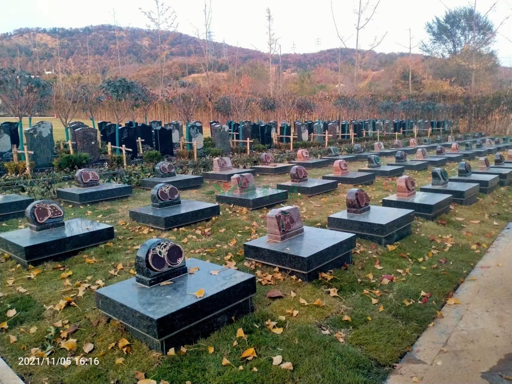 BC贷·(中国游)官方网站