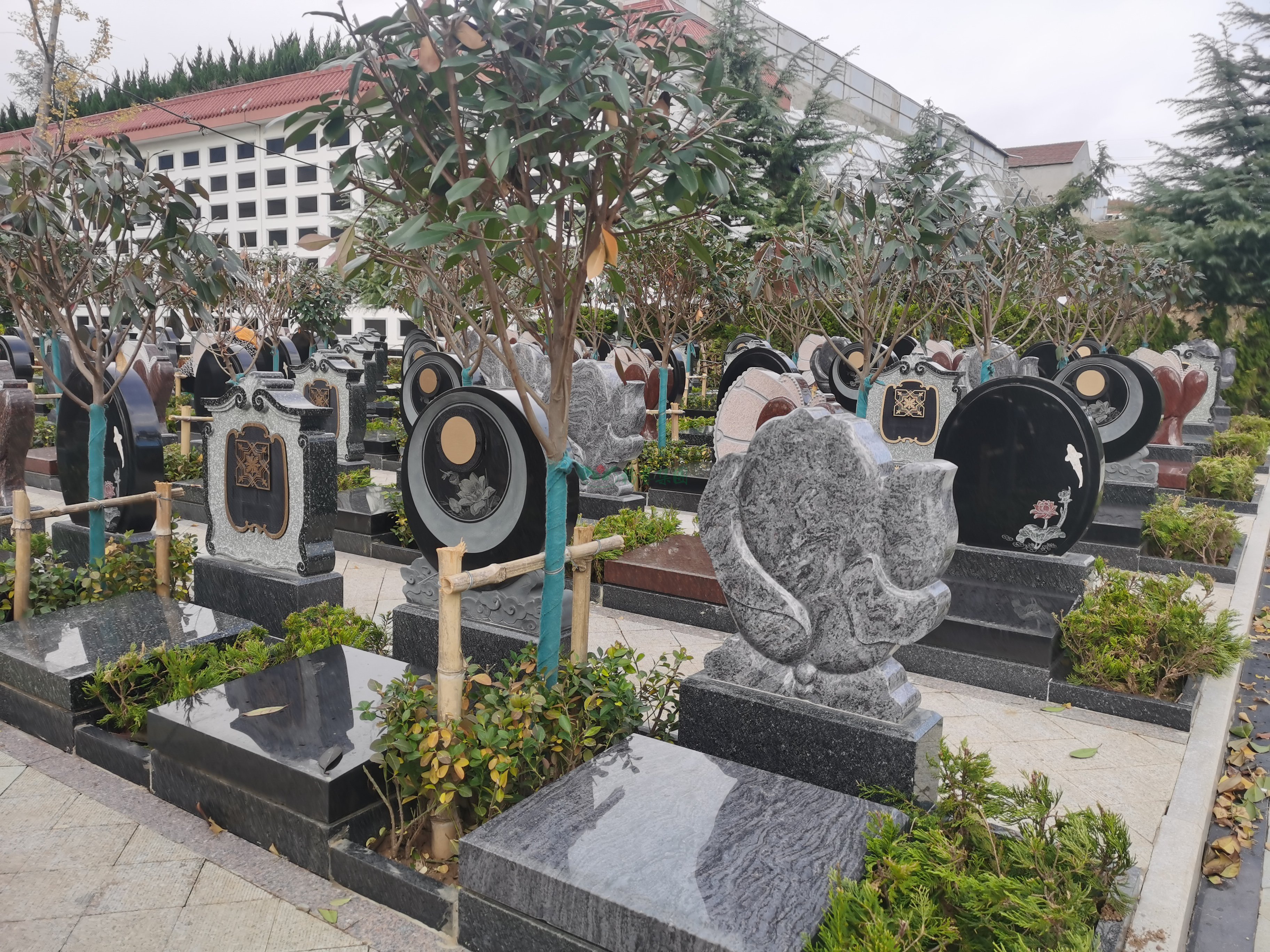 BC贷·(中国游)官方网站