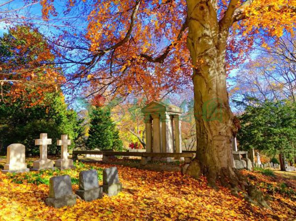 BC贷·(中国游)官方网站