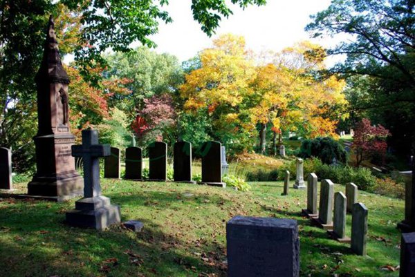 BC贷·(中国游)官方网站