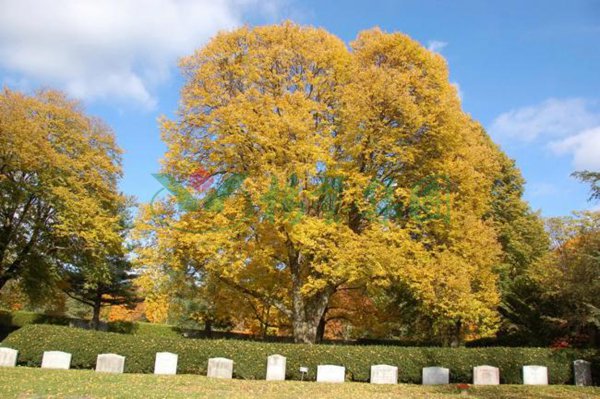 BC贷·(中国游)官方网站