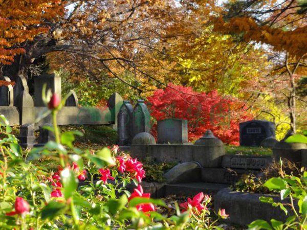 BC贷·(中国游)官方网站