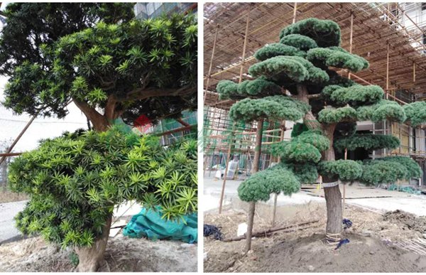 BC贷·(中国游)官方网站