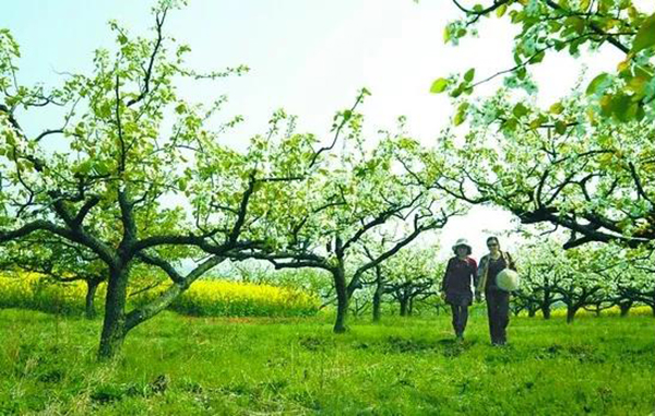 BC贷·(中国游)官方网站