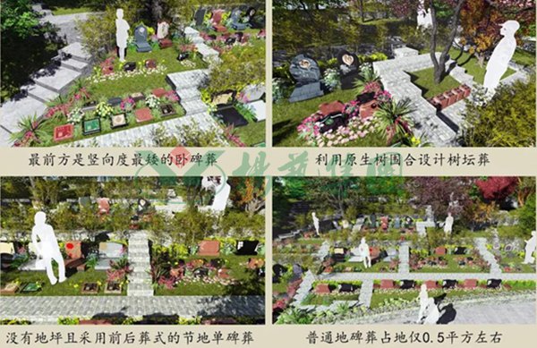 BC贷·(中国游)官方网站