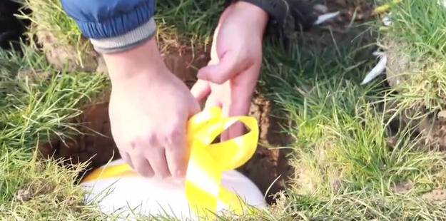 BC贷·(中国游)官方网站