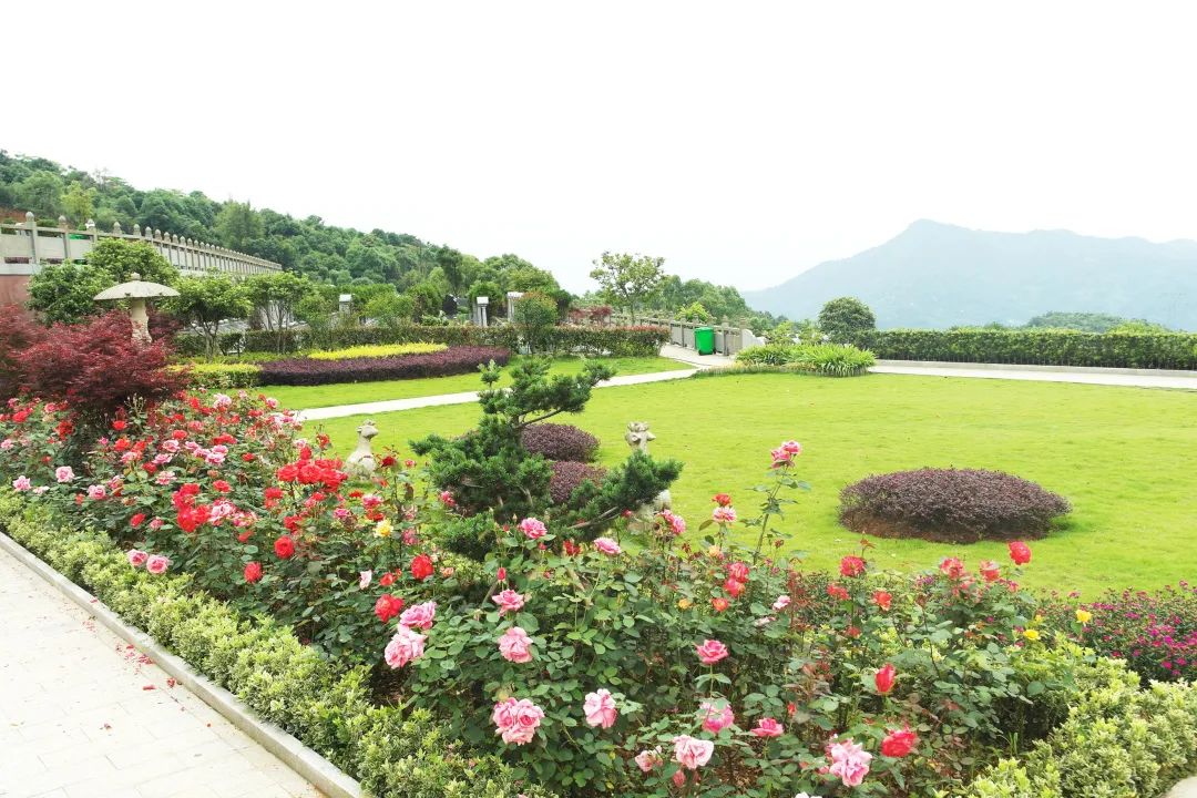 BC贷·(中国游)官方网站