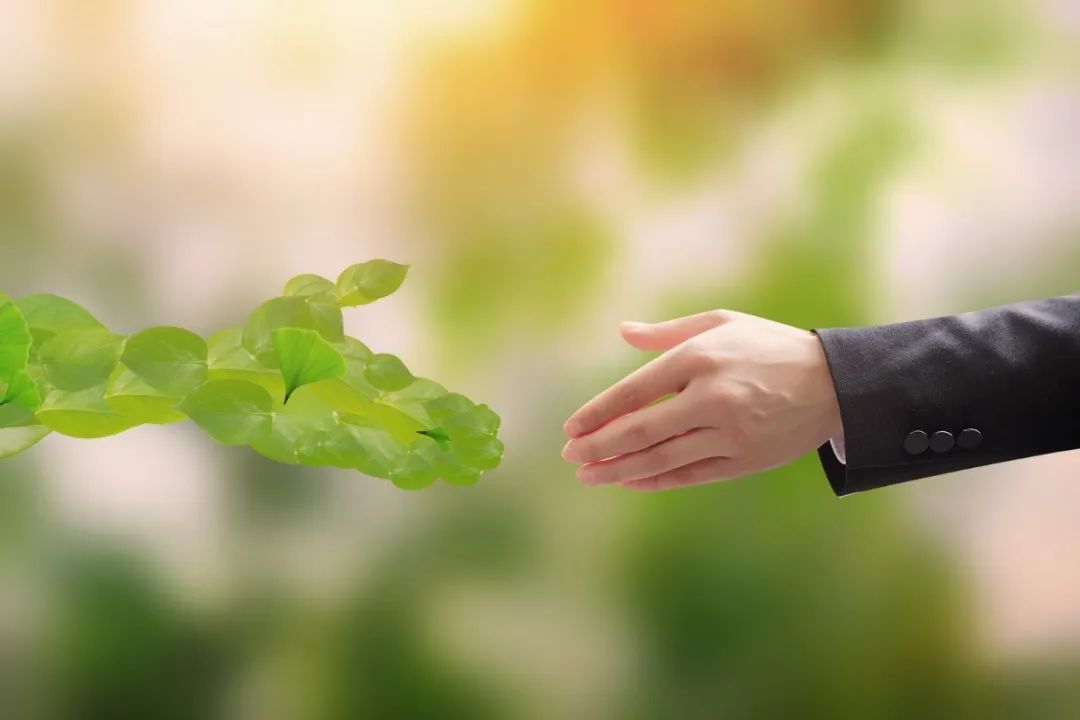 BC贷·(中国游)官方网站