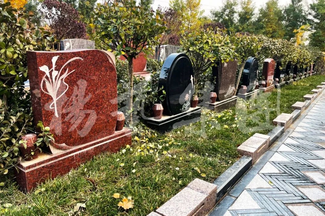 BC贷·(中国游)官方网站