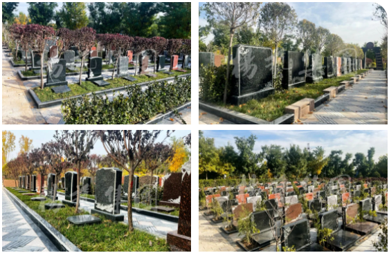 BC贷·(中国游)官方网站