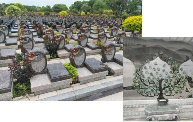 BC贷·(中国游)官方网站