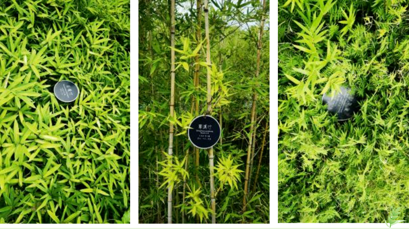 BC贷·(中国游)官方网站