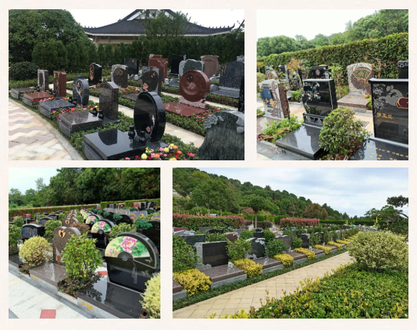 BC贷·(中国游)官方网站