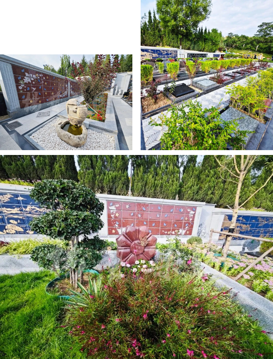 BC贷·(中国游)官方网站