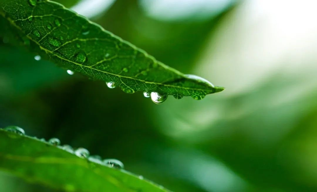 BC贷·(中国游)官方网站