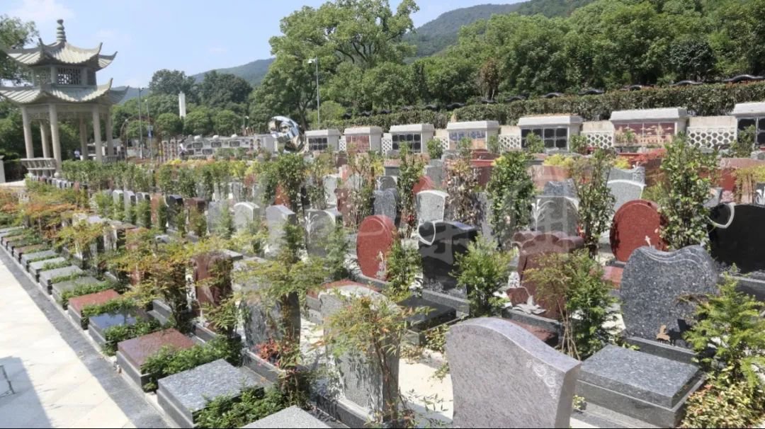 BC贷·(中国游)官方网站