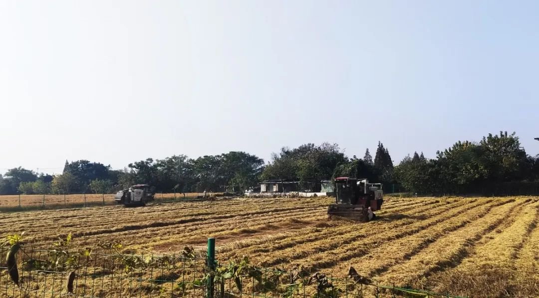 BC贷·(中国游)官方网站