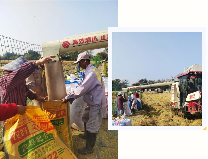 BC贷·(中国游)官方网站