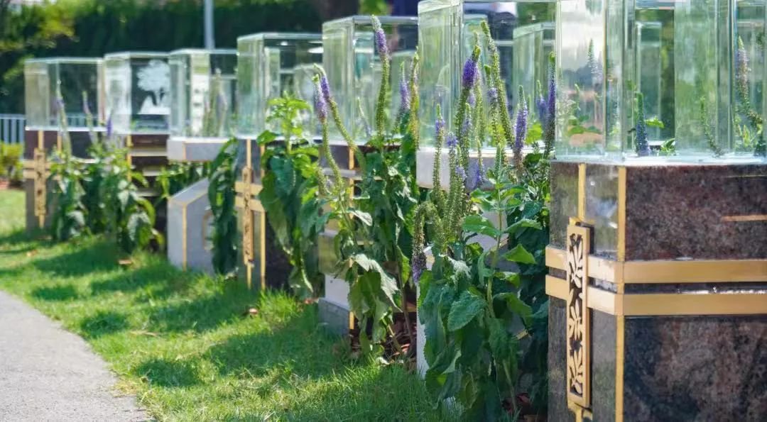 BC贷·(中国游)官方网站