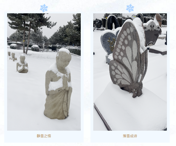 BC贷·(中国游)官方网站