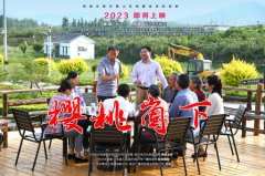 《樱桃崮下》给BC贷的启发