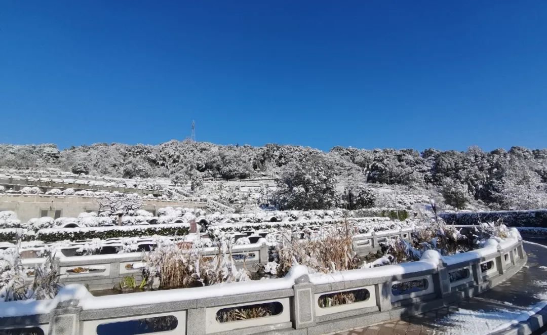 BC贷·(中国游)官方网站