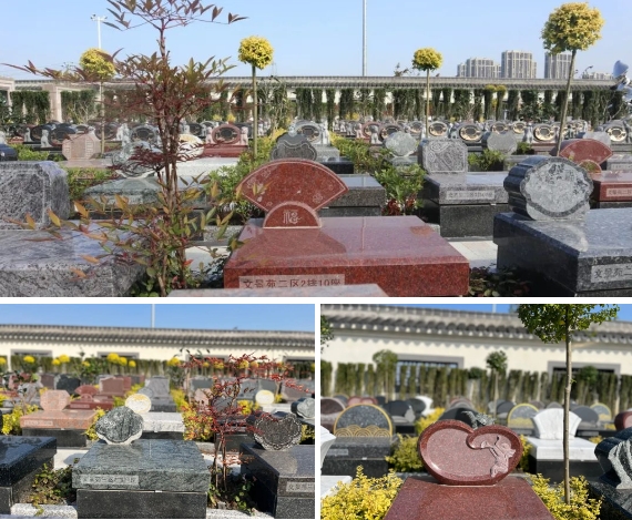 BC贷·(中国游)官方网站