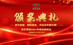 2024年BC贷集团迎新春年会暨颁奖仪式盛放纵行