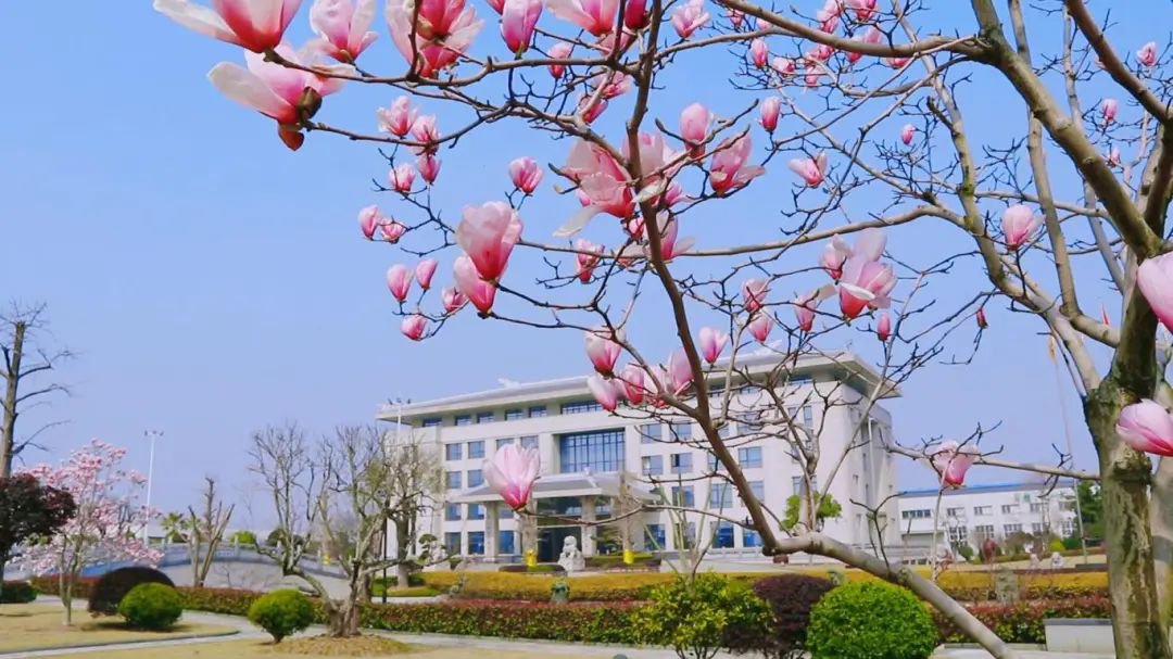 BC贷·(中国游)官方网站