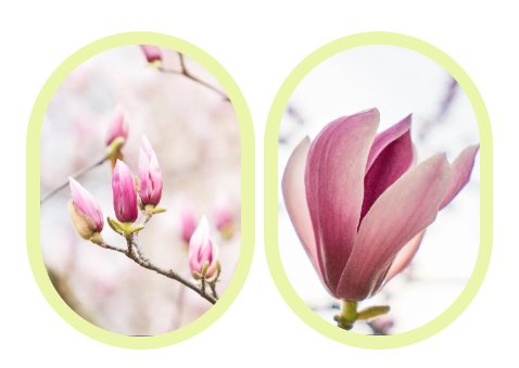 BC贷·(中国游)官方网站