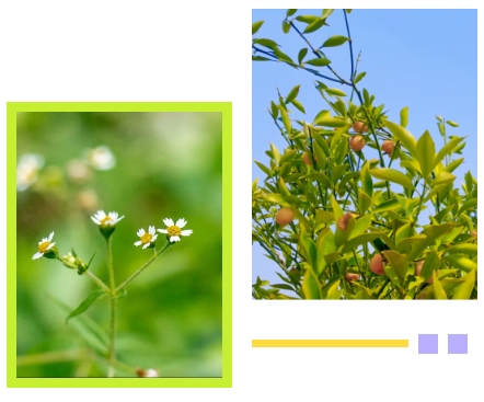 BC贷·(中国游)官方网站