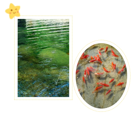 BC贷·(中国游)官方网站