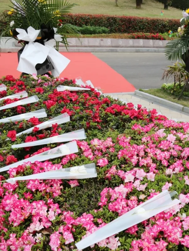 BC贷·(中国游)官方网站