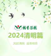 风起清明 遥寄相思|BC贷集团?2024清明篇