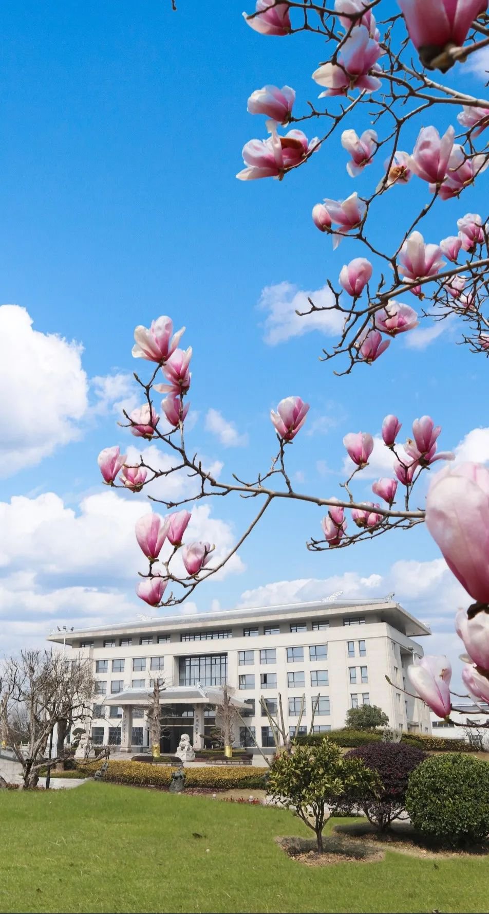 BC贷·(中国游)官方网站