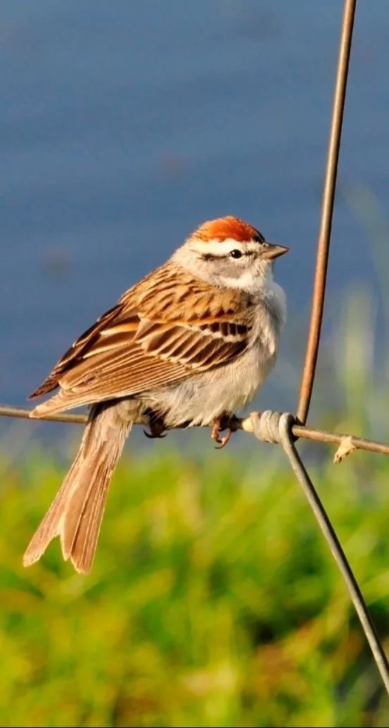 BC贷·(中国游)官方网站