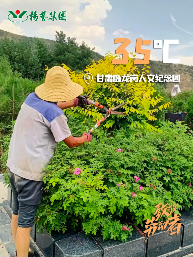 BC贷·(中国游)官方网站