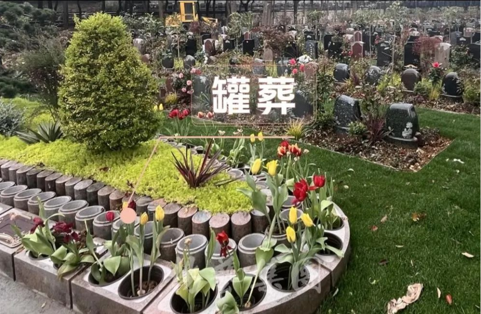 BC贷·(中国游)官方网站