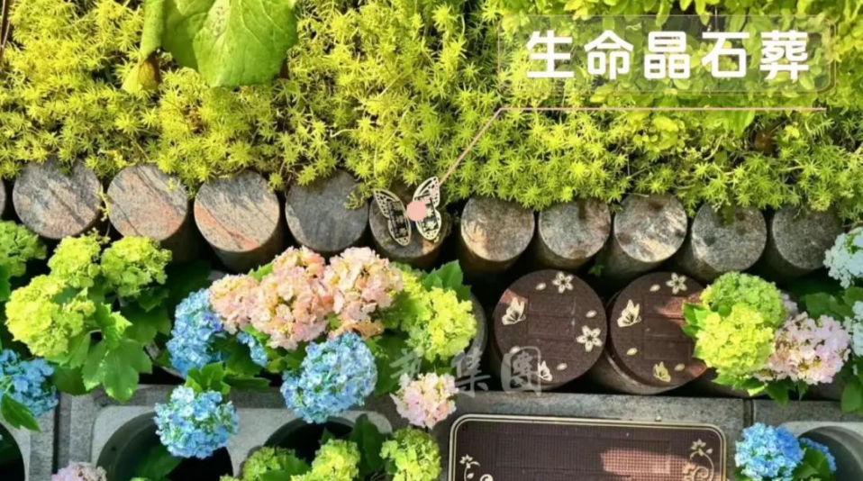 BC贷·(中国游)官方网站