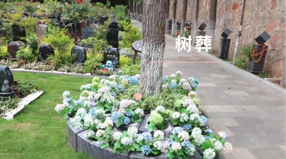 BC贷·(中国游)官方网站