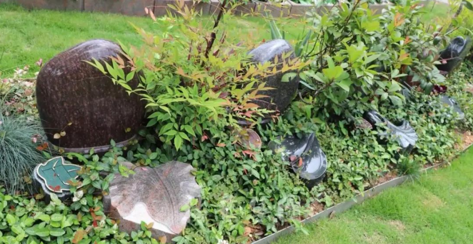 BC贷·(中国游)官方网站