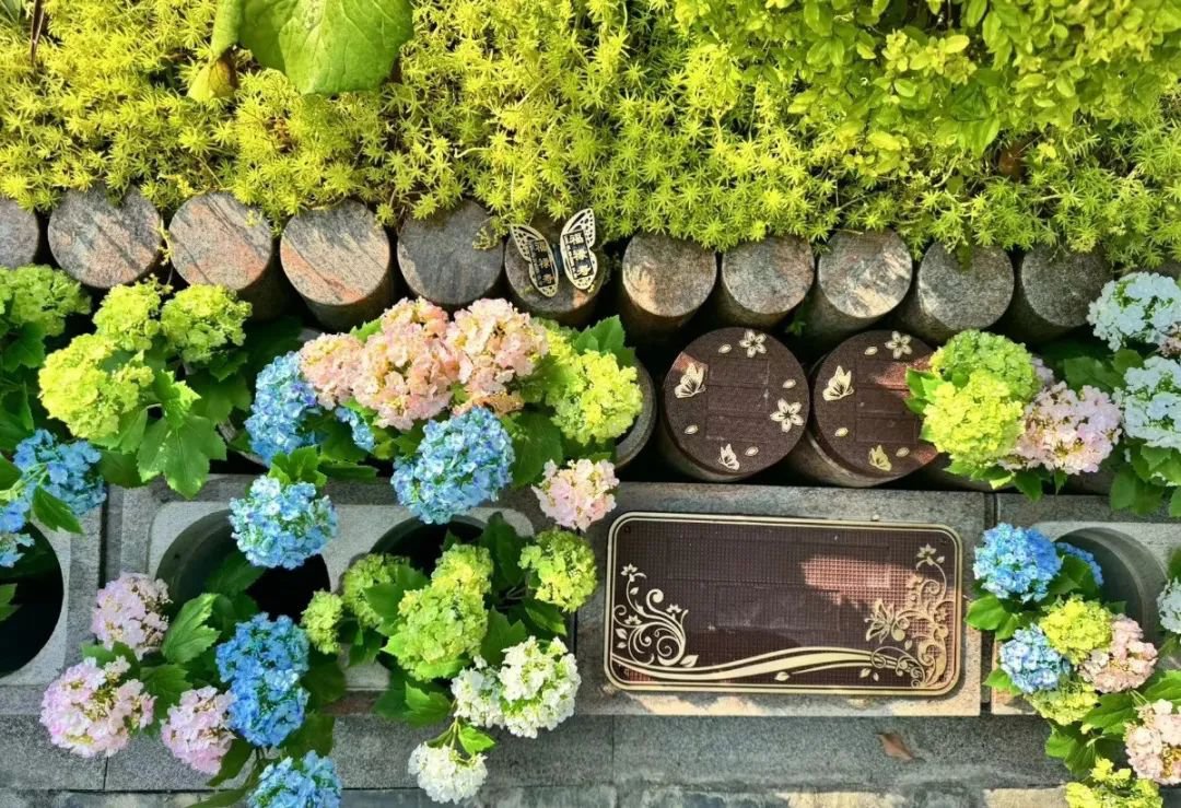 BC贷·(中国游)官方网站